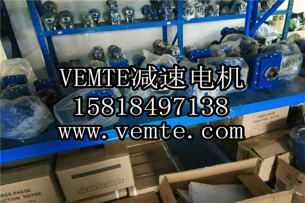 VEMT減速機(jī)電機(jī)制造廠家 (8)