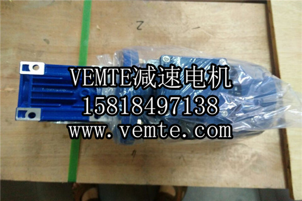 VEMT減速機電機廠家 (8)